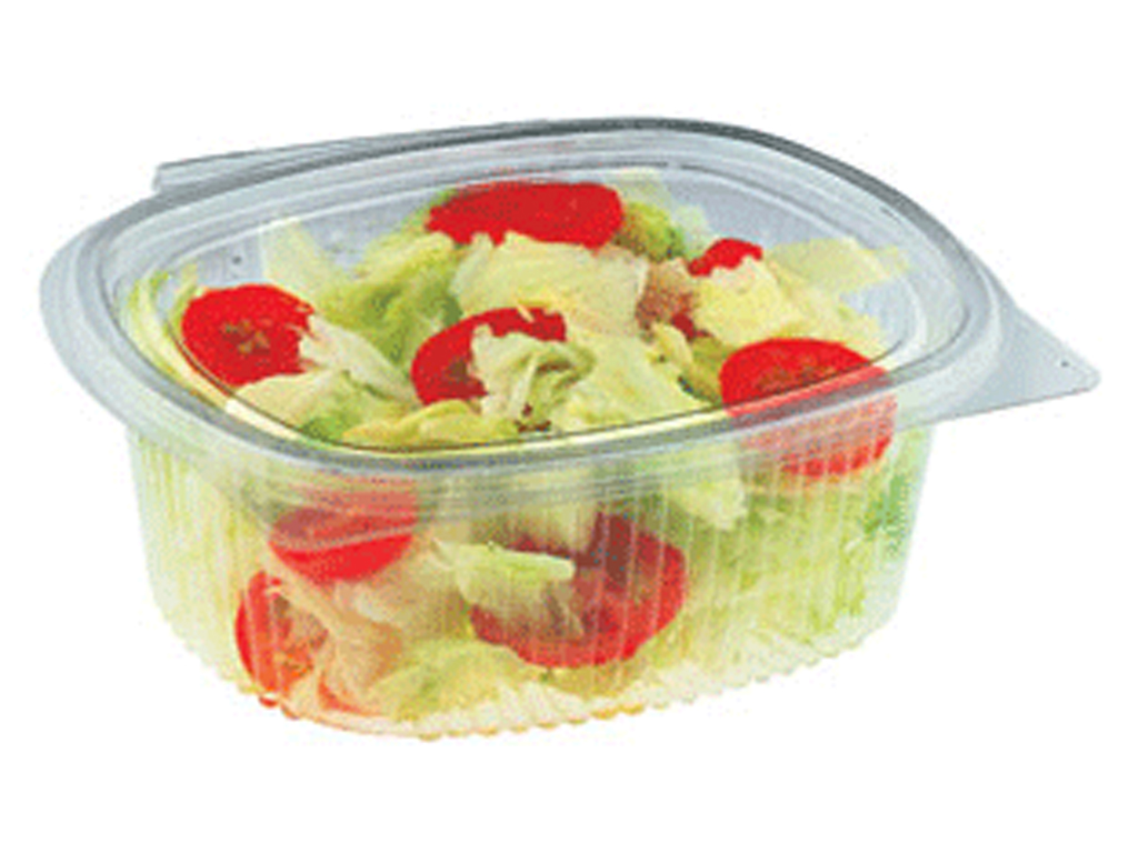 OVAL HINGED LID CONTAINER PET, 1000CC 400/BOX V66