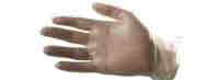 Polythene Clear Glove